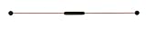 Swingstick Originaler 2.0 -deutsches Produkt - direkt vom Hersteller für eine Starke Rücken- und Rumpfmuskulatur inkl. Trainingsplakat und Online Workouts mit dem Schwungstab