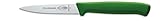 F. DICK Küchenmesser, ProDynamic (Messer mit Klinge 8 cm, X55CrMo14 Stahl, nichtrostend, 56° HRC) 82620082-14, Grün