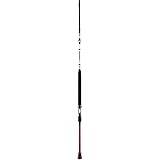 PENN Squadron II Boat Bootsruten, 2.13m| 20-30lb