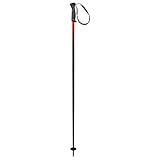 HEAD Unisex-Adult Frontside Black red Skistöcke, Schwarz/Rot, 105