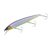 Jackall Rerange 110 SP (110 mm, 14,8 g, 1,5 m) Jerkbait Wobbler für Hecht & Zander (Babataku Clear Laser)