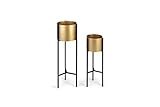 LIFA LIVING Pflanzenständer Set aus Metall, 2 Goldene Blumentopfständer für Wohnzimmer, Schlafzimmer & Flur, Moderne Pflanzenhalter max. 5 kg belastbar