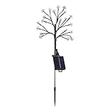 Generisch Solarleuchten im Freien für Gartenblumen, Solargarten Blumenlichter - Solar Fairy Stake Yard Leuchten wasserdicht - Outdoor -für Pfade, Garten, Innenhof, Wege, Landschaft