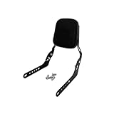 Motorrad Satteltasche Für CL500 CL300 CL250 SCL500 2023-2024 Motorradzubehör Gepäckträgerpolster Abnehmbare Rückenlehne Sissy Bar Aufbewahrungstasche(A-Backrest)