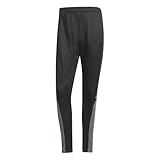adidas Herren SQUADRA25 Training Pant, Black/Team Grey Four/Pure Ruby, XXL Tall