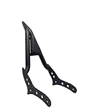 Gepäckträger Hinten Für Rebel 300 500 Für CMX300 Für CMX500 2017 2018 2019 2020 2021 2022 Motorrad Abnehmbare Hinten Sissy Bar Rückenlehne mit Gepäckträger Motorrad Heckträger (Größe : Tyep 6)