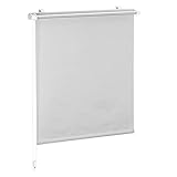 CelinaSun Thermo Rollo für Fenster ohne Bohren 100 x 220 cm hellgrau Verdunkelungsrollo klemmfix Fensterrollo innen Klemmrollo Jalousie