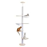 Katzenbaum Deckenhoch – 5-stöckiges Katzenkletter-Aktivitätszentrum mit Kratzbaum, 4 Etagen, 2 Hängematten, höhenverstellbar (190–260 cm), von Boden bis Decke, platzsparend & stabil