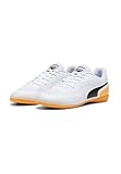 PUMA TRUCO III Indoor Herren Fussballschuhe Hallenschuhe 106892, Schuhgröße:44 EU