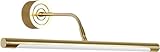 GUHPZA Spiegelleuchte Badezimmerleuchte Moderne Leuchte Mit Verstellbarem Lampenkopf Metallspiegelschrankleuchten Nachttischdekor Wandlampe Wand Nachttischdekorlampe, Led Kronle，Warmes Licht-515mm