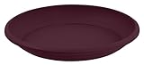EDA Untertasse, Burgunderrot, Standard