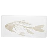 KOMBIUDA Exemplar eines Fischskeletts Tank gefälschter Fisch Bausatz Stand Roboter Showcase schaukästen dekoringe Ausstellungsstück Decor Fischgrätenmodell Fischgrätenverzierung Plastik