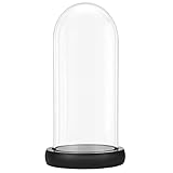 BELLE VOUS Glasglocke Deko mit Schwarzem Holzsockel - 26,5 cm Hoch - Klare Dekorative Glocke aus Glas mit Tablett für Lichterketten, Tafelschmuck und Antiquitäten