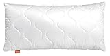 sleepling Kopfkissen 40x80 cm, Allergiker Kissen, waschbar, Made in EU, Ökotex, langes Schlafkissen 40 x 80, Bettkissen, Pillow, Basic 100