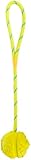 Trixie 33482 Ball am Seil, Naturgummi, schwimmt, ø 7/35 cm, farblich sortiert