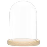 BELLE VOUS Glasglocke mit Holzboden - 20cm hohe Glaskuppel mit Holzboden - Glasglocke Groß Deko - transparente Glas Glocke - Glaskuppel Deko - dekorative Glashaube