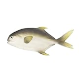 BODOBTF Künstliche Lebensmittel-Fotografie-Requisite, Dekoration, lebensechtes Hummer-Modell, Dekoration, künstliches Fisch, Trepang, kreativ, realistisch, Krabbenladen-Dekoration (weißer grauer