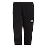 adidas Herren Entrada 22 3/4 Pants, Black, XL