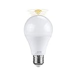 Glühbirne mit Bewegungssensor, E27, intelligente Infrarot-Lampe für Heimbeleuchtung, energiesparend, Auto-Sensor-Lampe für Veranda, Treppe, Flur, AC85, 265 V, Radarerkennung, kaltweiß, 20 W, 10 Stück