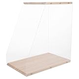 LIFKICH Transparenter Holz Schallplattenhalter mit Stauraum für Vinyl Cds und Bücher Platzsparendes Multifunktionales CD Organizer Regal für Schreibtisch und Medienaufbewahrung