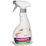 Gardigo Spinnenvertreiber Spinnenspray | Insektenspray zur präventiven Spinnenabwehr | Made in Germany | 500ml | Eukalyptus-Citriodora-Öl | Spinnen Spray für Küche Schlafzimmer Badezimmer Keller
