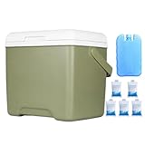 Tragbarer Kühler, Camping-Kühlschrank, 13,8 l Fassungsvermögen, Wärmedämmung, Frischaufbewahrung, eingebauter Griff mit Design, Auto-Kühlschrank zum Wandern, Getränke, Autoreisen, 28 x 17,8 cm
