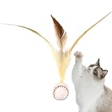 Cat Feather Ball Toy, Cat Bouncy Ball with Feather - Bounce Federed Ball Dog Toy | Creative Kitten Chew Game for stimuliert die Curiosity Pet Pet Hunting Game of Dogs