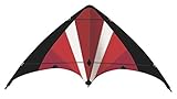 Günther Flugspiele 1070 - Sportlenkdrachen Power Move, ca. 130 x 69 cm, Drachen aus reißfestem Ripstop-Polyester, für Kinder ab 8 Jahren, inkl. hochwertigen Schnüren auf Lenkrollen