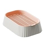 Generisch Katzengras-Pflanzgefäß – Bio-Katzengras-Pflanzgefäß | Doppelschichtige Pflanzwerkzeuge, erdloser Behälter, gesunder Weizengraszüchter, Heimtierbedarf, Kindergartenbox für den Heimgarten