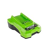 Greenworks Akku-Ladegerät G40C (Li-Ion 40V 2A 60 min Ladezeit bei 2Ah passend für alle Akkus der 40 V Greenworks Tools Serie)