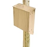 Große Fledermaushäuser im Freien - handgefertigte Fledermausnistkasten mit Dach | Fledermaushaus aus Naturholz, wetterfest, unbehandelt p
