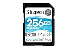 Kingston SDG3/256GB SD Speicherkarte (256GB SDXC Canvas Go Plus 170R C10 UHS-I U3 V30 )