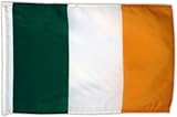 Fahne Flagge Irland 30 x 45 cm [Spielzeug]