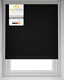 Sol Royal Thermorollo SolReflect T42 Verdunkelungsrollo 80x220 cm Rollo Schwarz - Rollos für Fenster ohne Bohren mit Thermobeschichtung - Wärmeschutzrollo Thermo Rollo zum Klemmen, Klemmfix Rollo