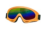 WILBERS & WILBERS 20164 Skibrille, Unisex, Neon Orange, Einheitsgröße für Erwachsene