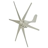 5000W Wind Turbines Wind-Generator, 12V 24 V 48 Volt 6 Nylon-Faser-Blatt Horizontal Heimenergie Windrad Energie Turbines Lade,Weiß,12v