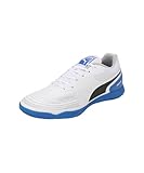 PUMA TRUCO III Indoor Herren Fussballschuhe Hallenschuhe 107979, Schuhgröße:44 EU
