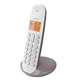 Logicom ILOA 155T Schnurloses Festnetztelefon mit Anrufbeantworter – Solo – Analoges und DECT-Telefon – Taupe