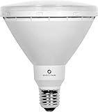 PAR 38 LED 15W 230V E27 warmton IP65 LED Reflektorlampe - Ersatzmöglichkeit PAR38 60W - PAR38 80W) - für Gartenspots Gartenstrahler Gartenspieße Erdspießstrahler aussen