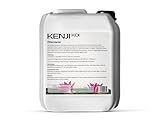 KENJI KOI Filterstarter 5L für 200000 L Teichwasser | Teichpflege für Teichfilter | Filterstarterbakterien | Starterbakterien für Gartenteich, Koiteich, Schwimmteich | Teichwasseraufbereiter