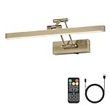 Pasoar Bild Licht Batteriebetriebene Messing 40CM lange wiederaufladbare Wandleuchten Dimmbare LED Bibliothek Licht mit Swing Arm und Timer Funktion Akku Wandleuchte Innen Gold Farbe