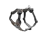 HUNTER Hundegeschirr, Braun/Grau, 52-68 cm