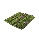 EPIGEIST Aquarium Rückwand Dekoration Landschaftsbark Langlebig Naturgetreu für Terrarien Reptilien Fischbecken Hintergrundgestaltung