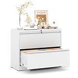 Hängeregisterschrank Doppelbahnig Abschließbar, Hängemappenschrank Aktenschrank mit 2 Schubladen Metallschrank Stahlschrank Ordnerschrank Büroschrank Breit Schubladenschrank für A4, Legal