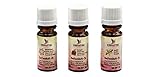 Artidee CREARTEC Seifenduftöl 3er Set Winter - bestehend aus Wintertraum, Bratapfel & Vanille - 3x10ml - Made in Germany