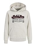 JACK & JONES Jjelogo Sweat Hood 2 Col Aw25 Noos Mni
