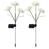 Lichterkette, Blumendekoration für den Garten, wasserdicht, LED-Dekoration für den Garten, 2 Stück für Pool, Wege, Hecke, Tor, Pergola, Terrasse