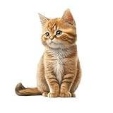 cfpqv Christmas Cats Ornaments 2D Acrylic Christmas Decorations Tuxedo Cats Christmas Tree Hanging Ornaments Car Home Decor Personalized for Cat Lovers Vase Schwarz Glas (E, One Size)