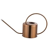 Gießkanne – 1,3 L Edelstahl-Gießkanne, Vintage-Gartensprüher Aus Metall, Ergonomisches Griffdesign, Pflanzenzubehör Für Drinnen Und Draußen | Für Rasen, Balkon, Terrasse, Blumentöpfe, Hausgarten, Pfle