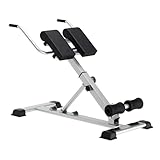 sogesfurniture Hyperextension Bauch- und Rückentrainer, 7-Fach höhenverstellbar, klappbar, Römische Bank, Multifunktionales Trainingsgerät, Rückenstrecker für Zuhause, Fitness, bis 100kg (Silber)
